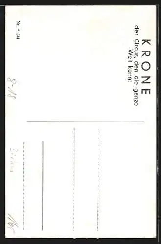 AK Zirkus Krone, Frieda Krone-Sembach mit Pferd