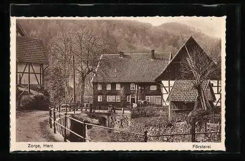 AK Zorge /Harz, Strassenpartie mit Försterei