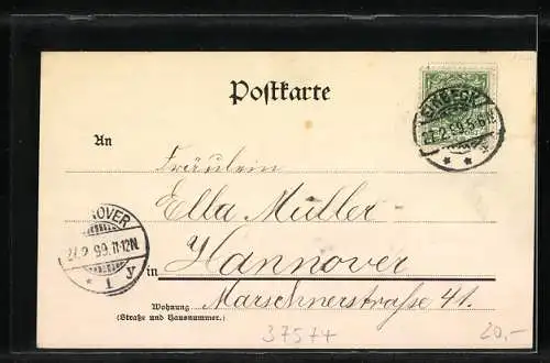 AK Einbeck, Teilansicht mit Promenade