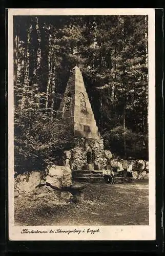 AK Fürstenbrunn, Partie am Denkmal