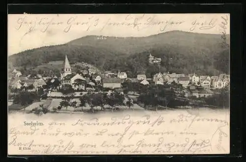 AK Seeheim, Ortsansicht mit Bergblick