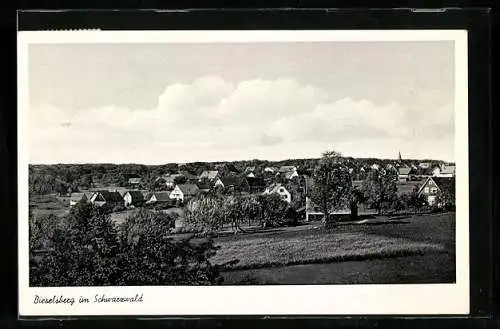 AK Bieselsberg /Schwarzwald, Ortsansicht mit Feldern