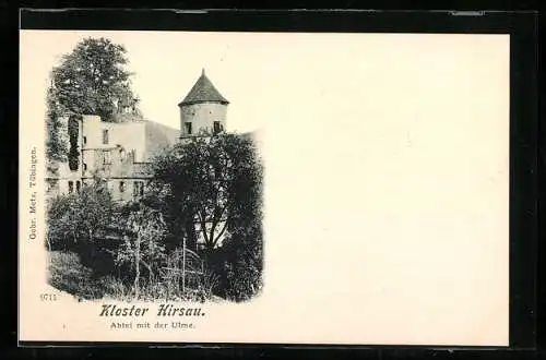 AK Kloster Hirsau, Abtei mit der Ulme
