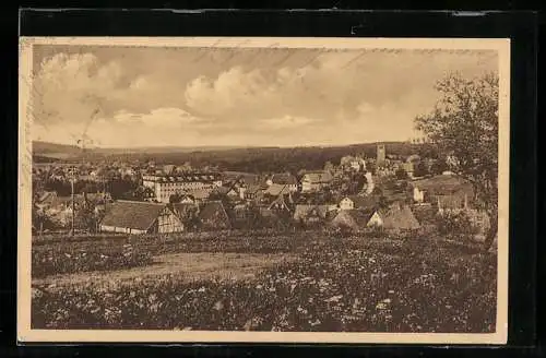 AK Schömberg /Wildbad, Ortsansicht mit Fernblick