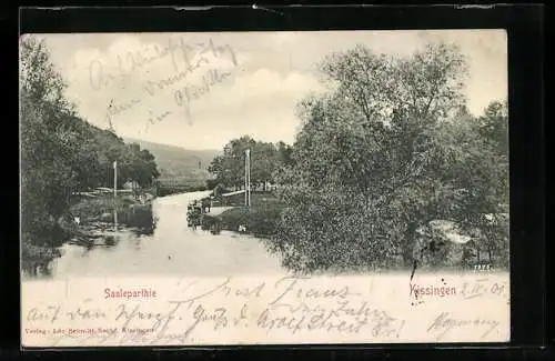 AK Kissingen, Saalepartie mit Fernblick