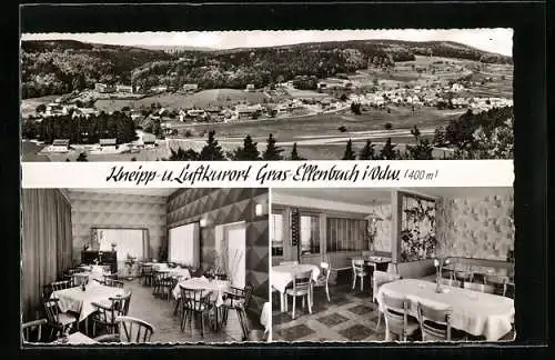 AK Gras-Ellenbach i. Odw., Gasthaus-Pension zum Spessartskopf Unger, Gesamtansicht