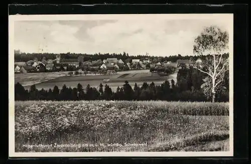 AK Zwerenberg, Teilansicht mit Wald