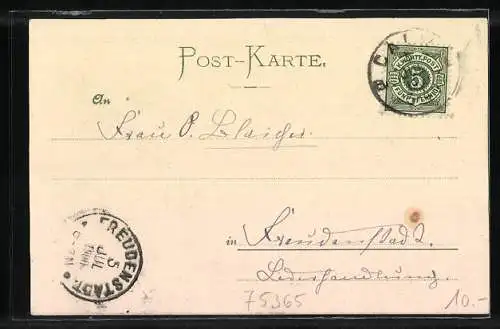 AK Calw, Totalansicht von Süden gesehen