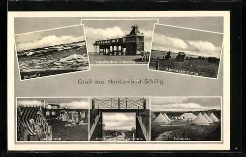 AK Schillig, Vogelwarte Oldeoog, Sturmflut, Strand, Zeltplatz