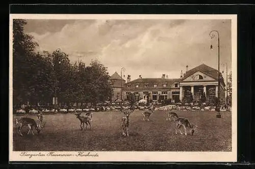 AK Hannover-Kirchrode, Tiergarten mit Wild