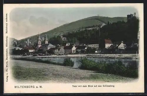 AK Miltenberg, Totalansicht mit Blick auf den Schlossberg