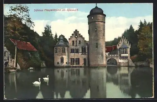 AK Mespelbrunn /Spessart, Schloss mit Schwänen