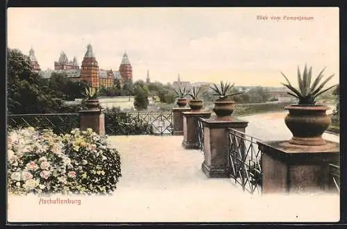 AK Aschaffenburg, Blick vom Pompejanum