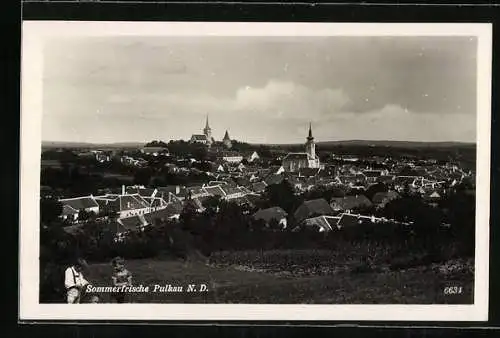 AK Pulkau /N. D., Totalansicht aus der Vogelschau