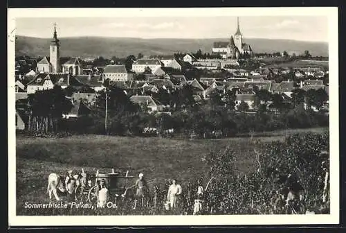 AK Pulkau /N. Ö., Ortsansicht mit Melkern