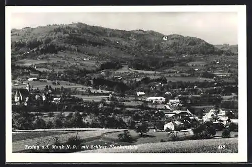 AK Texing a. d. Mank, Blick mit Schloss Plankenstein