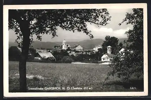 AK Gansbach /N. Ö., Ortsansicht von einem Feld aus