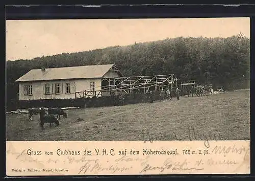 AK Hoherodskopf, Clubhaus des VHC und nahe Umgebung, Kühe