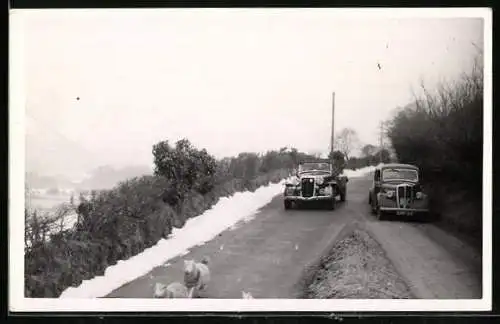 AK Auto beim Autorennen im Winter, Nummernschild CHP 50, Patten, Hundegespann