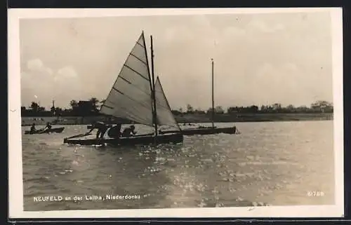 AK Neufeld an der Leitha /Niederdonau, Segelboot auf dem Wasser