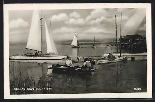 AK Neusiedl am See, Panorama mit Segelbooten