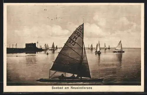 AK Neusiedl a. See, Regatta im Seebad, Segelboote