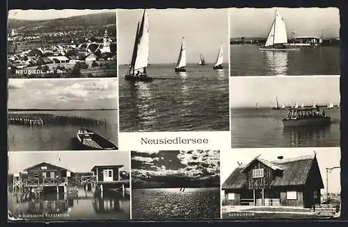 AK Neusiedl am See, Mehrfachansichten, Biologische Seestation, Seemuseum, Segelboote