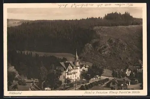 AK Hölle /Höllenthal, Hotel u. Pension König David