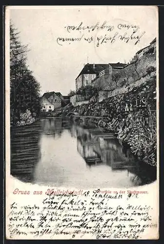 AK Mellrichstadt, Flusspartie an der Stadtmauer