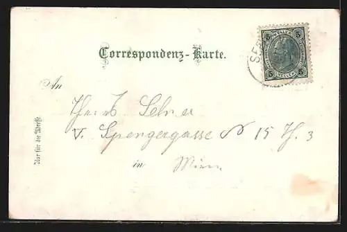 AK Pitten, Ortsansicht mit dem Schloss