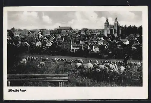 AK Walldürn, Schafherde vor der Ortsansicht