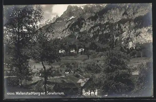 AK Wallenstadtberg, Ansicht mit Sanatorium