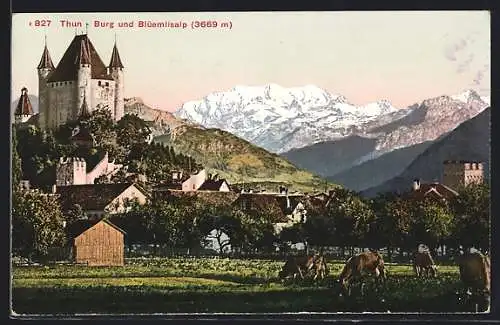 AK Thun, Burg und Blüemlisalp