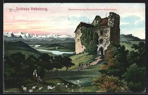 AK Habsburg, Blick auf Stammschloss des Österreichischen Kaiserhauses