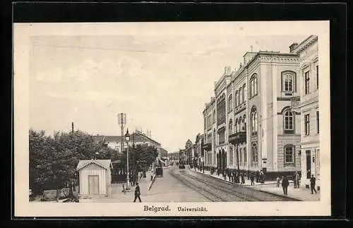 AK Belgrad, Universität