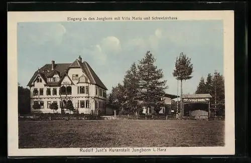 AK Jungborn i. Harz, Rudolf Just's Kuranstalt, Eingang mit Villa Maria und Schweizerhaus
