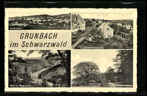 AK Grunbach / Schwarzwald, Schönblickstrasse, Nagoldtal und Partie bei den sieben Eichen