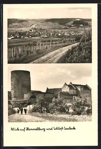 AK Hammelburg, Blick auf Hammelburg und Schloss Saaleck
