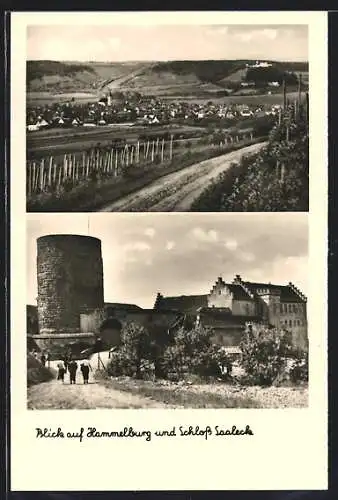 AK Hammelburg, Blick auf Hammelburg und Schloss Saaleck