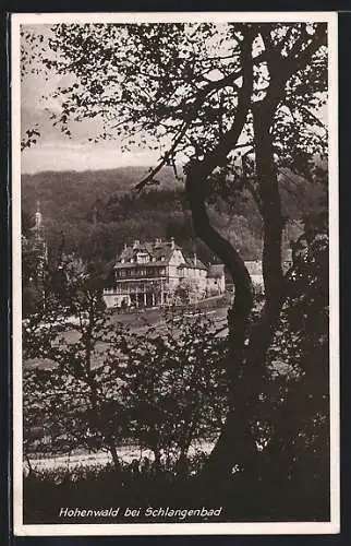 AK Schlangenbad, Hotel-Pension Hohenwald von C. Gahr