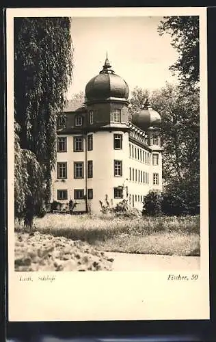 AK Lich /Oberh., Blick auf das Schloss