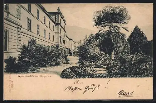 AK Arco, Vegetationsbild im Kurgarten