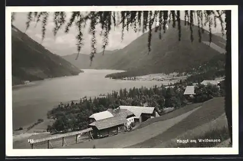 AK Weissensee /Kärnten, Partie in Naggl