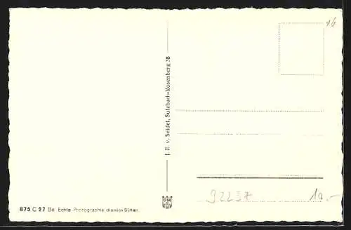 AK Sulzbach-Rosenberg /Bayer. Ostmark, Blick von der Allee