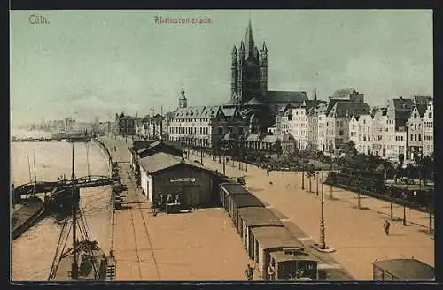 AK Cöln, Blick über die Rheinpromenade