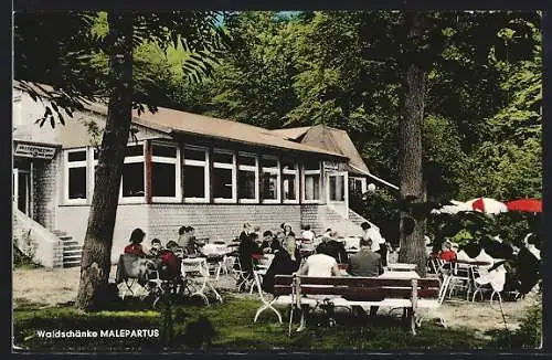 AK Lienen, Aussenbereich vom Gasthaus Waldschänke Malepartus