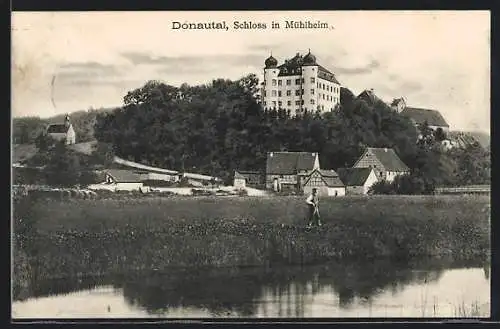AK Mühlheim im Donautal, Blick zum Schloss