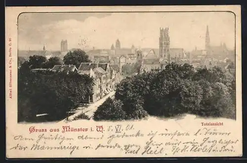 AK Münster i. W., Ortsansicht aus der Vogelschau