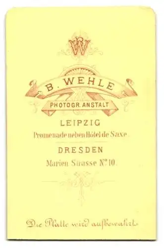 Fotografie B. Wehle, Leipzig, Junge Dame im schwarzem Kleid lehnt an Geländer