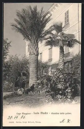 AK Isola Madre /Lago Maggiore, Giardino delle palme